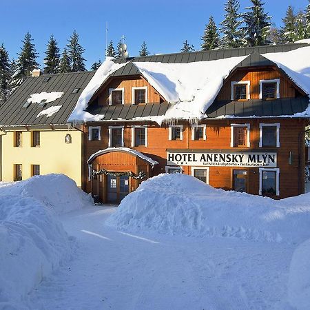 Hotel Anensky Mlyn Ricky (Hradec Kralove) Exterior foto